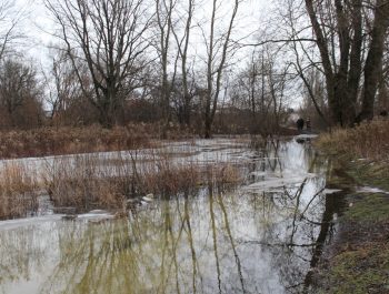 Rosica 5 stycznia 2023