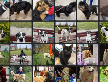 327115499_515834524040252_391658643484908370_n