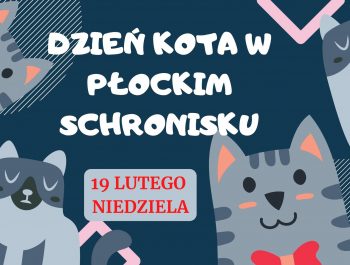 330492488_500272088958427_381486915009693554_n