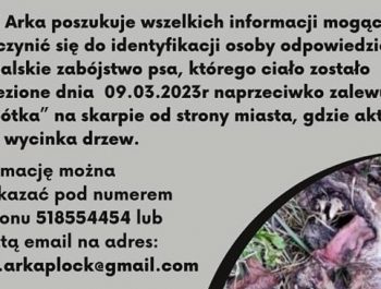 333894863_614864343308862_5933726131055309608_n