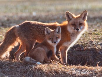 istockphoto-1404698627-612×612