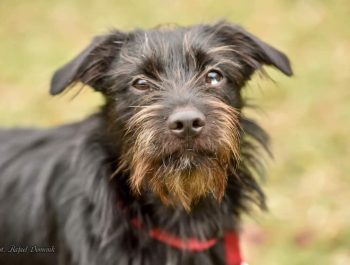 343751463_776989843731245_8126883645408907888_n