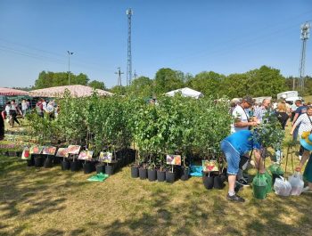 Giełda rolnicza Łąck 14 maja 1 2023