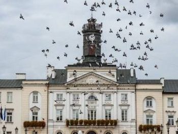 0729b60b3107370c05256d6099a9626a-1-730×300