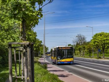 DSC1018-Poprawione-Szum-Edytuj-1-700×500-kopia