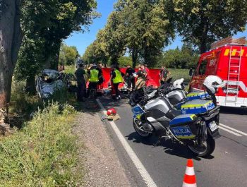 514462705_1261324808681540_6486674658992225581_n