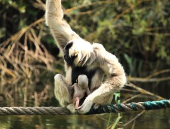 518397641_1186086653563820_5688005982075983847_n