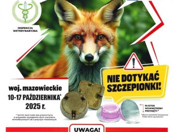 szczepienie_19092025