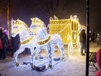 Płockie Ogrody Światła 2023