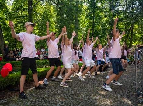 20250615_075_BL_VIII_Rodzinny_Piknik_Zespołu_Mazowsze_DSC_4337