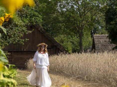 Żniwa 2025 GAZETA fot. Dariusz Krześniak (2)