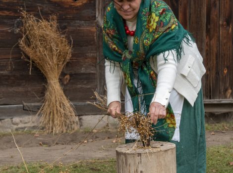Jesień 2025 GAZETA fot. Dariusz Krześniak (13)
