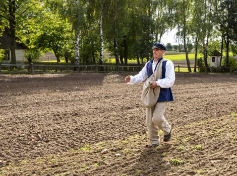 Jesień 2025 GAZETA fot. Dariusz Krześniak (32)